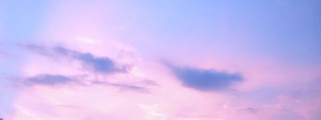 ちうさんの壁紙画像