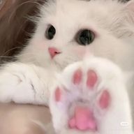 おにく。さんのアイコン画像