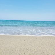 さきなさんのアイコン画像