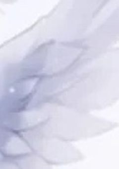 ネタ帳