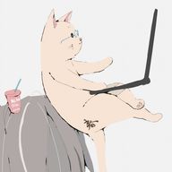 ㅤれあちゃんㅤ. ⭐︎ㅤさんのアイコン画像