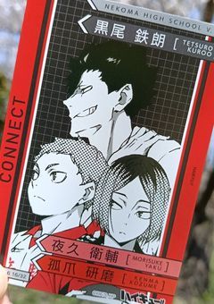 多分短集編?