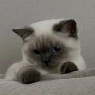 推し以外愛さない主義さんのアイコン画像