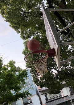 友達募集…🦍💤