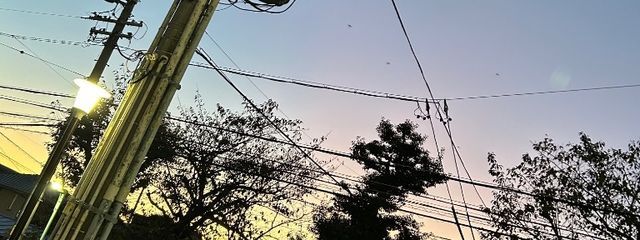 yuriΣ('◉⌓◉’)さんの壁紙画像