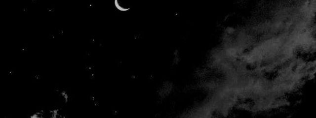 ひわ　ｻﾝさんの壁紙画像