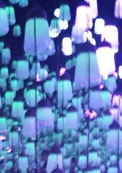 くらげのすみか ｡.:*