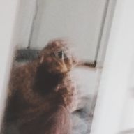 あまにゆさんのアイコン画像