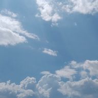 Rasa＿🌃さんのアイコン画像