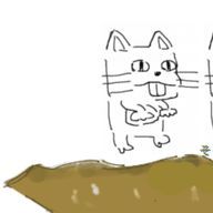 🐳🫖 さんのアイコン画像