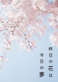 昨日の花は今日の夢