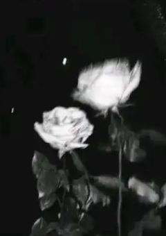 ↺ 取扱 説明書 ．