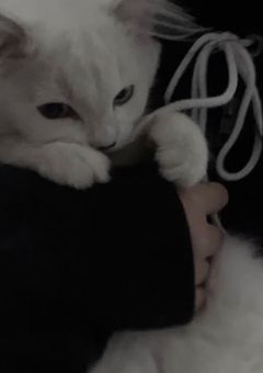 パジャマだって ＿　駆けつけてね 　♥︎⁡