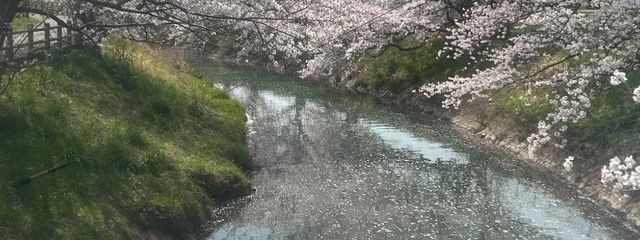 想愛　*･゜ﾟ･*さんの壁紙画像