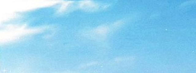 日 向さんの壁紙画像