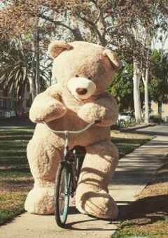 S社の姫…というか女王様？