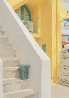 天然番長 , 純粋でした ,