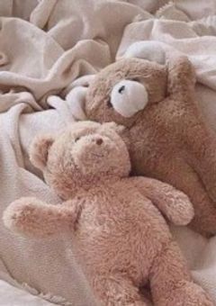 プロポーズ計画 .