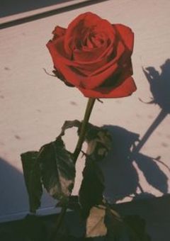 先輩は , 堕とせない .