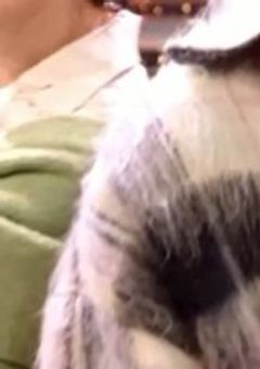 同期組の嫁による小説Contest 🎶