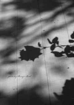 DV 彼氏の " 躾 " 方 。