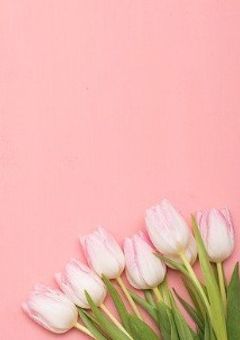 全部教えて？佐藤先生 。