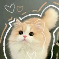 ななまるさんのアイコン画像