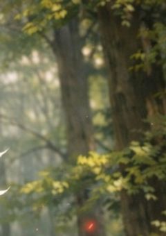 STONE WORLDにはドラゴンがいるらしい。