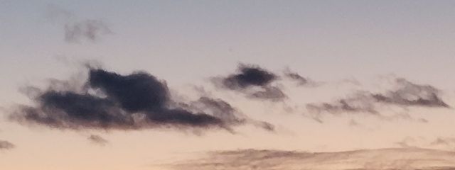 らら🎲🐇さんの壁紙画像