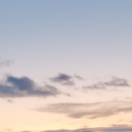 らら🎲🐇さんのアイコン画像