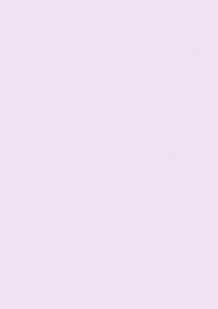 不思議な生き物達拾いました