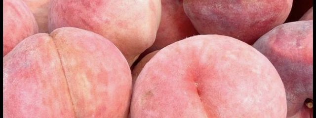 るあさんの壁紙画像