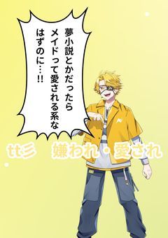 夢小説とかだったらメイドって愛される系なはずのに…!!