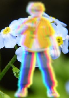 あの時の貴方に会いたい