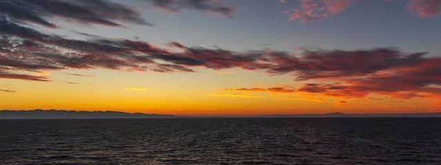 晴翔さんの壁紙画像