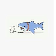 🦈さんのアイコン画像