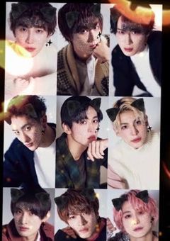 猫になったSnowMan