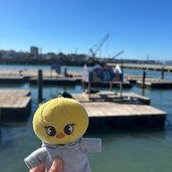 Mioさんのアイコン画像