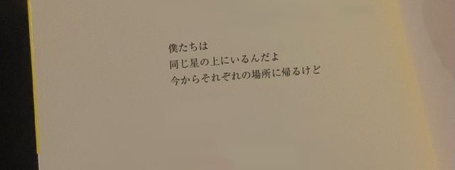 アボカドさんの壁紙画像