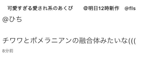 雪 椿 ひ ちさんの壁紙画像