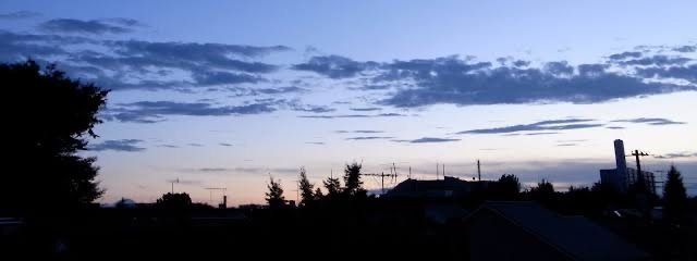 白狼くるみさんの壁紙画像