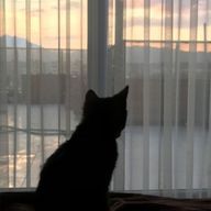 yuu🌿𓂃◌𓈒𓐍さんのアイコン画像