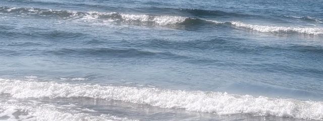 mitoneさんの壁紙画像