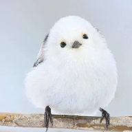 Mrs.ファンさんのアイコン画像