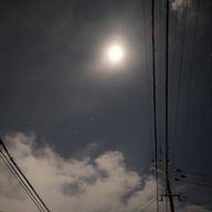 panda.さんのアイコン画像