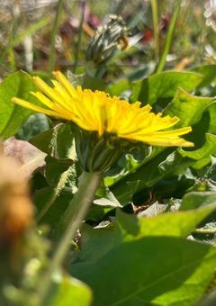 ルミルの好き勝手！(°▽°)