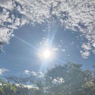 ルミル🪞さんのアイコン画像