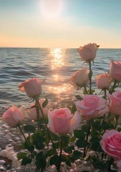 好きな人に物申す！