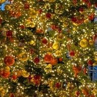 ユーザーページへ