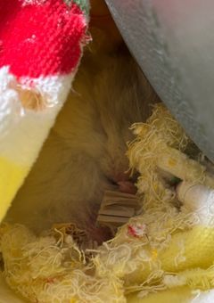 めちゃくちゃ好きな写真を貼っていくよ〜！見てね！